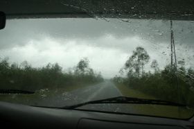 site.EG.regen.jpg