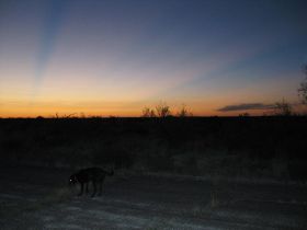 wandelen zonsondergang 2.JPG