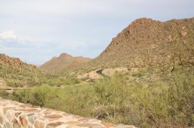 10 Saguaro Nat Park.jpg