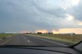 amarillo.bijna thuis....jpg