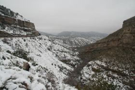 20.TD.lincoln forest 2.jpg