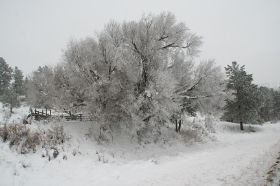 22.TD.cloudcroft.jpg