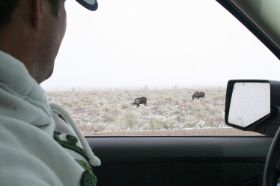 27 sea.grand teton park.jpg