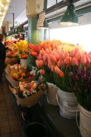 30 sea.public m bloemen.jpg