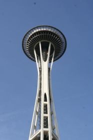 11 sea.needle1.jpg